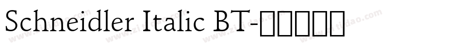 Schneidler Italic BT字体转换
